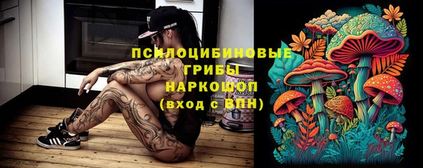 амф Алзамай