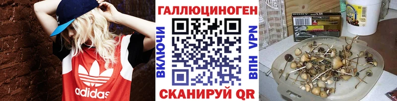 Галлюциногенные грибы прущие грибы  где купить   Аша 