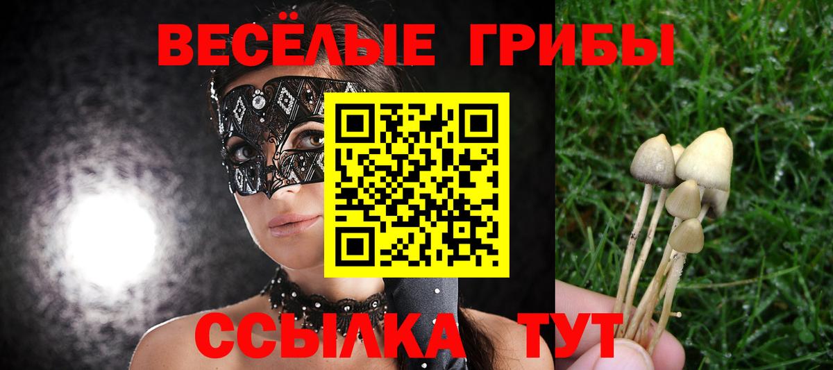 Галлюциногенные грибы GOLDEN TEACHER Аша
